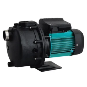 Choosing the Right Swimming Pool Pump for Better Performance